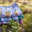m_Baby-blanket_parliament_Trikoopeitto_parlamentti2.jpg
